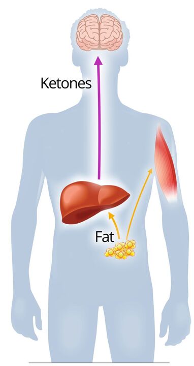 Ketosis với NexaSlim